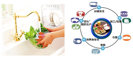 食品安全檢測解決方案