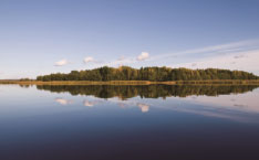 水產(chǎn)養(yǎng)殖水質(zhì)系列儀表